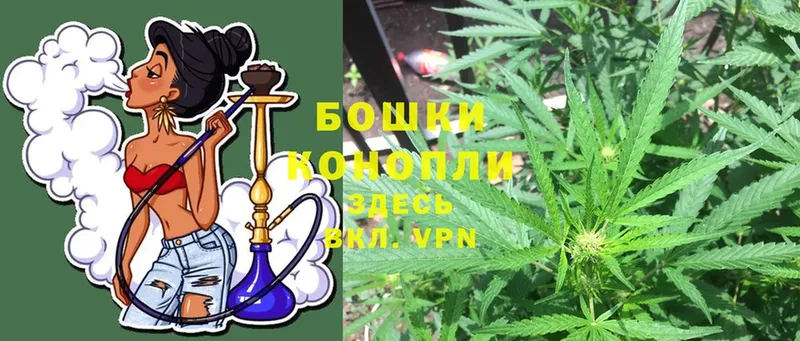 Марихуана SATIVA & INDICA  Бронницы 